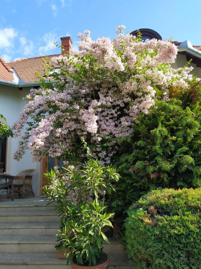 Frutta Villa Cserszegtomaj Eksteriør billede