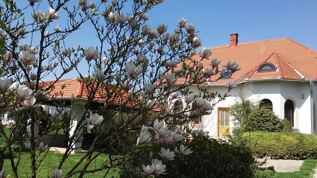 Frutta Villa Cserszegtomaj Eksteriør billede